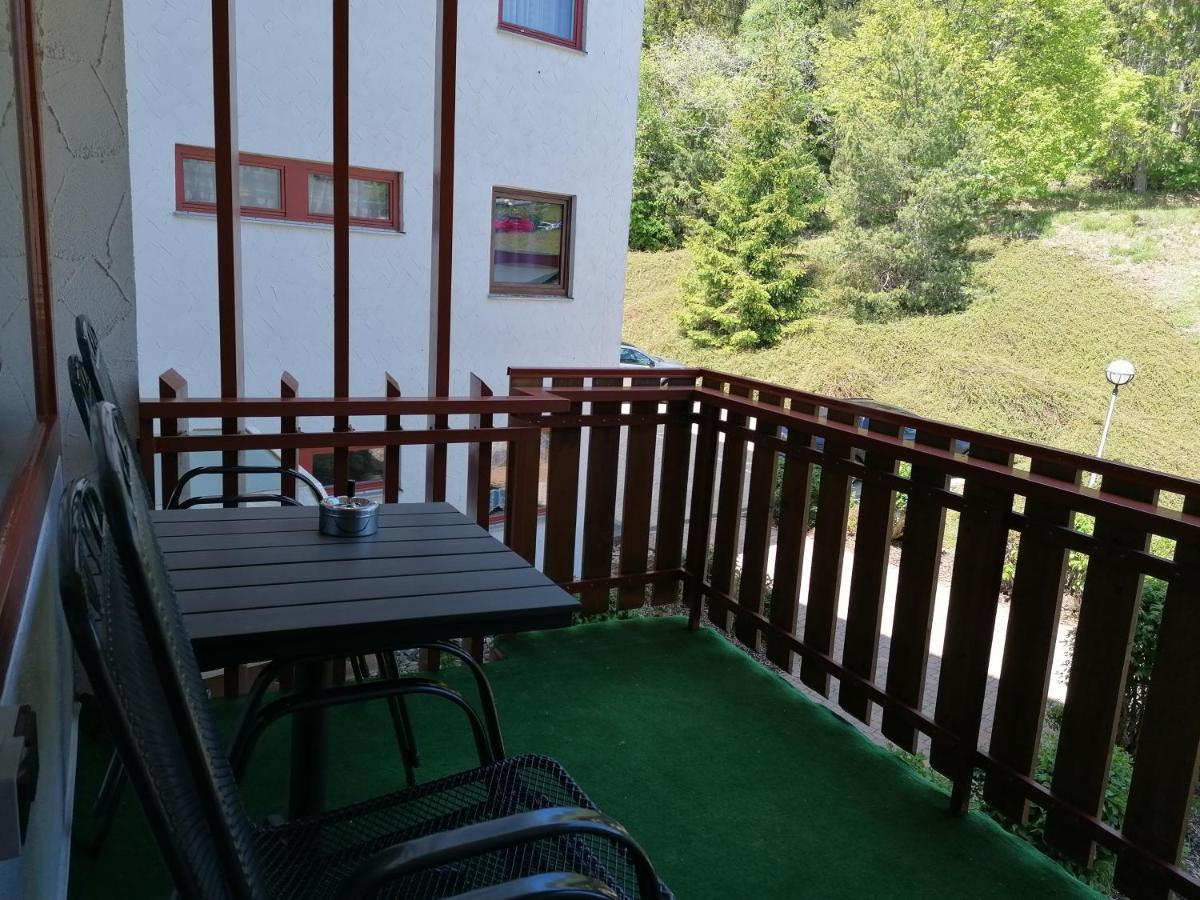 Ferienwohnung Am Schluchsee Mit Balkon & Pool מראה חיצוני תמונה